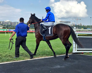 Image post by @australianturfclub on Instagram