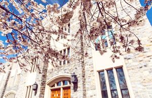 Image post by @virginia.tech on Instagram