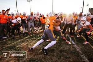 Image post by @vol_photos on Instagram
