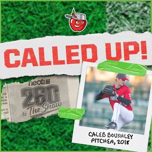 Image post by @tincaps on Instagram