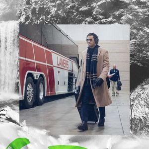 Image post by @seahawks on Instagram