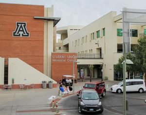 Image post by @dailywildcat on Instagram