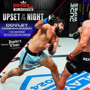 Image post by @pflmma on Instagram