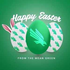 Image post by @meangreensd on Instagram