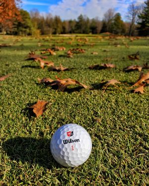 Image post by @wilsongolfcanada on Instagram