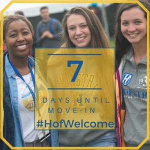 Image post by @hofstrau on Instagram