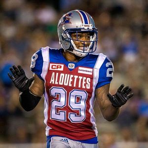 Image post by @mtlalouettes on Instagram