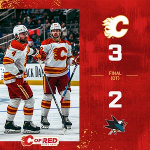 Image post by @NHLFlames on Twitter