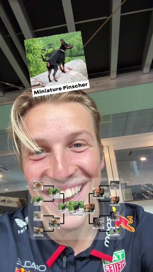 Video post by @redbullracing on TikTok