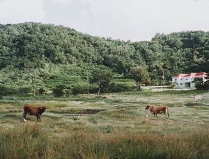 Image post by @camilleshaw on Instagram