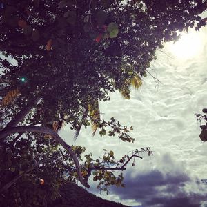 Image post by @lifesadiscoball on Instagram