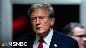 Video post by @msnbc on YouTube
