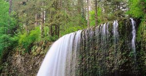 Image post by @discovery on Instagram