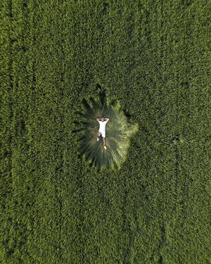 Image post by @dronepals on Instagram