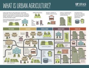 Image post by @UFIFASNews on Facebook