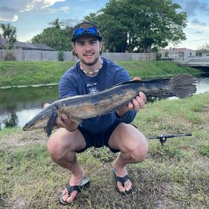 Image post by @ohlsteelheads on Instagram