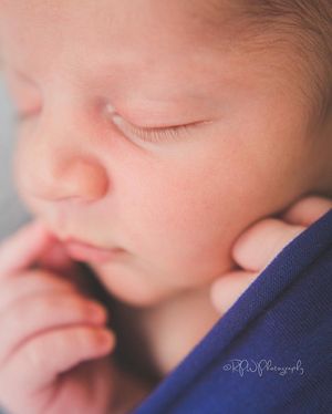 Image post by @rpwphotography_mi on Instagram