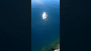 Video post by @gopro on YouTube