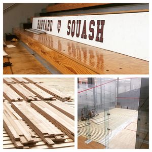 Image post by @harvardsquash on Instagram