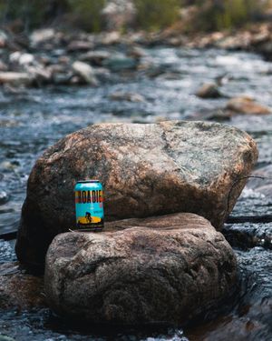 Image post by @greatdividebrew on Instagram