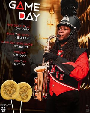 Image post by @astatebands on Instagram