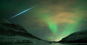 Image post by @discovery on Instagram