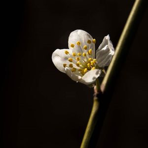 Image post by @fotodioxpro on Instagram