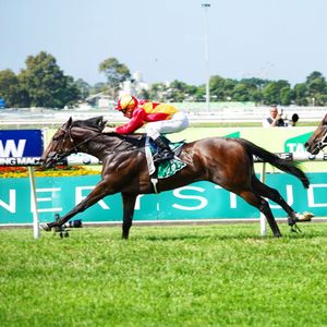 Image post by @australianturfclub on Instagram