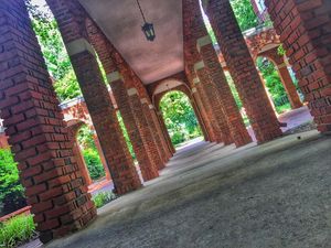 Image post by @elonuniversity on Instagram