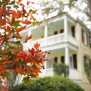 Image post by @collegeofcharleston on Instagram