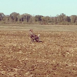 Image post by @marionmilitary on Instagram