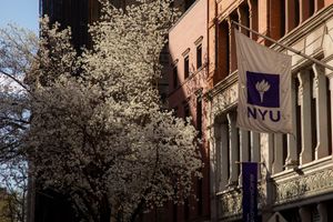 Image post by @meetnyu on Instagram