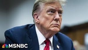 Video post by @msnbc on YouTube