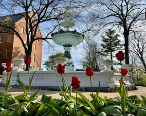 Image post by @shippensburgu on Instagram