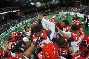 Image post by @jaxsharks on Instagram
