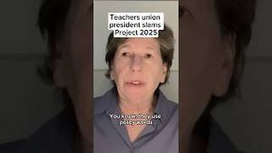 Video post by @msnbc on YouTube