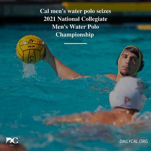 Image post by @dailycalsports on Instagram