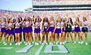 Image post by @lsutigergirls on Instagram