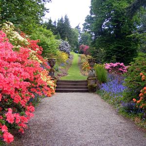 Image post by @alderwoodlandscaping on Instagram