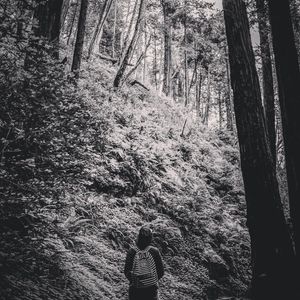 Image post by @brysonroatch on Instagram