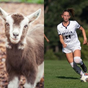 Image post by @saintanselmwoso on Instagram
