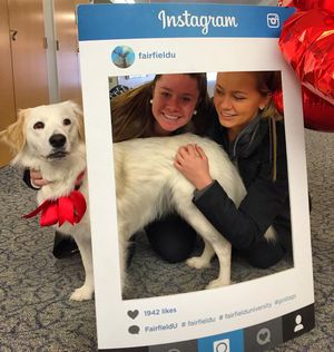 Image post by @fairfieldu on Instagram
