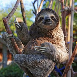 Image post by @animalplanet on Instagram