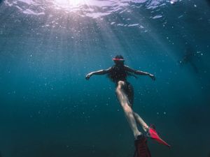 Image post by @serfermedia on Instagram