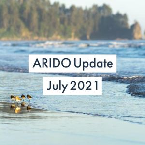 Image post by @aridontario on Instagram