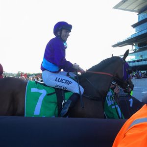 Image post by @australianturfclub on Instagram