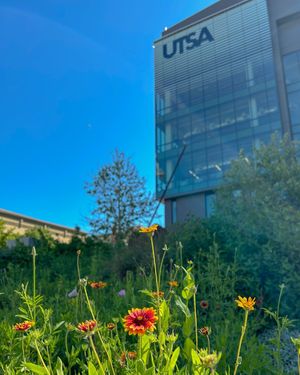 Image post by @utsa on Instagram