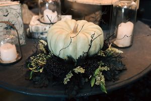 Image post by @rogersgardens on Instagram