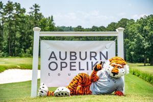 Image post by @ajgagolf on Instagram
