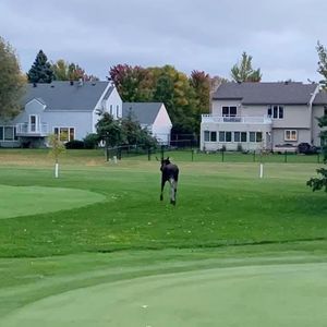 Image post by @fargoparks on Instagram